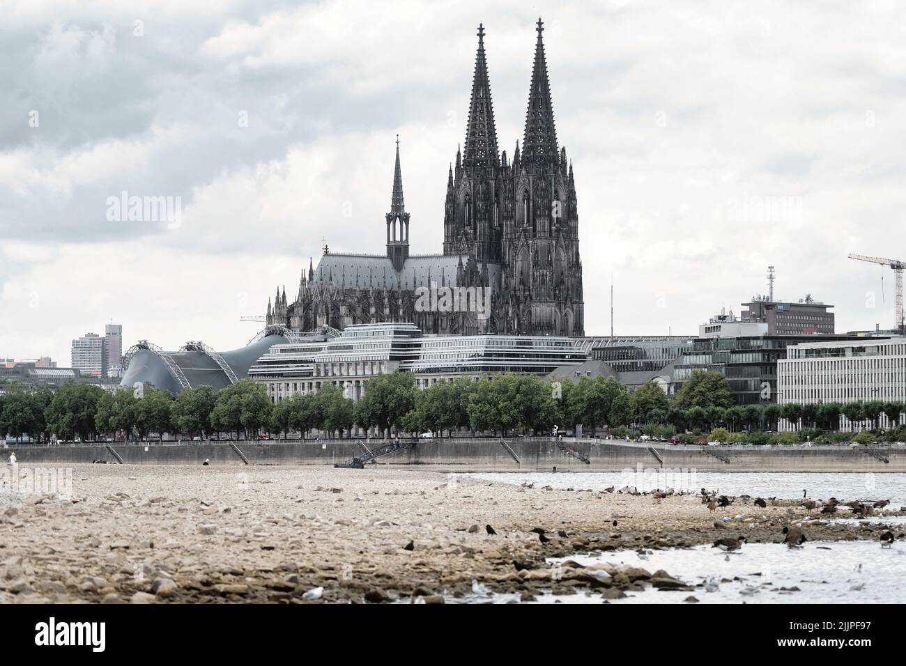 Cologne, Germany July 27, 2022: low water level on the rhine in cologne Stock Photo