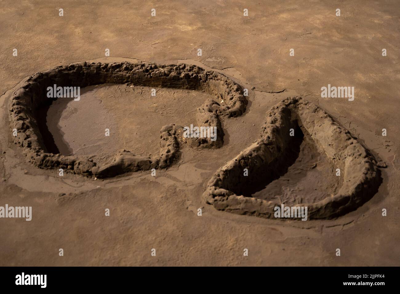 A big dinosaur footprint on mud Stock Photo
