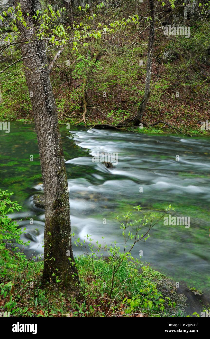 A Blue Spring near Eminence, Missouri, flowing into the Current River ...