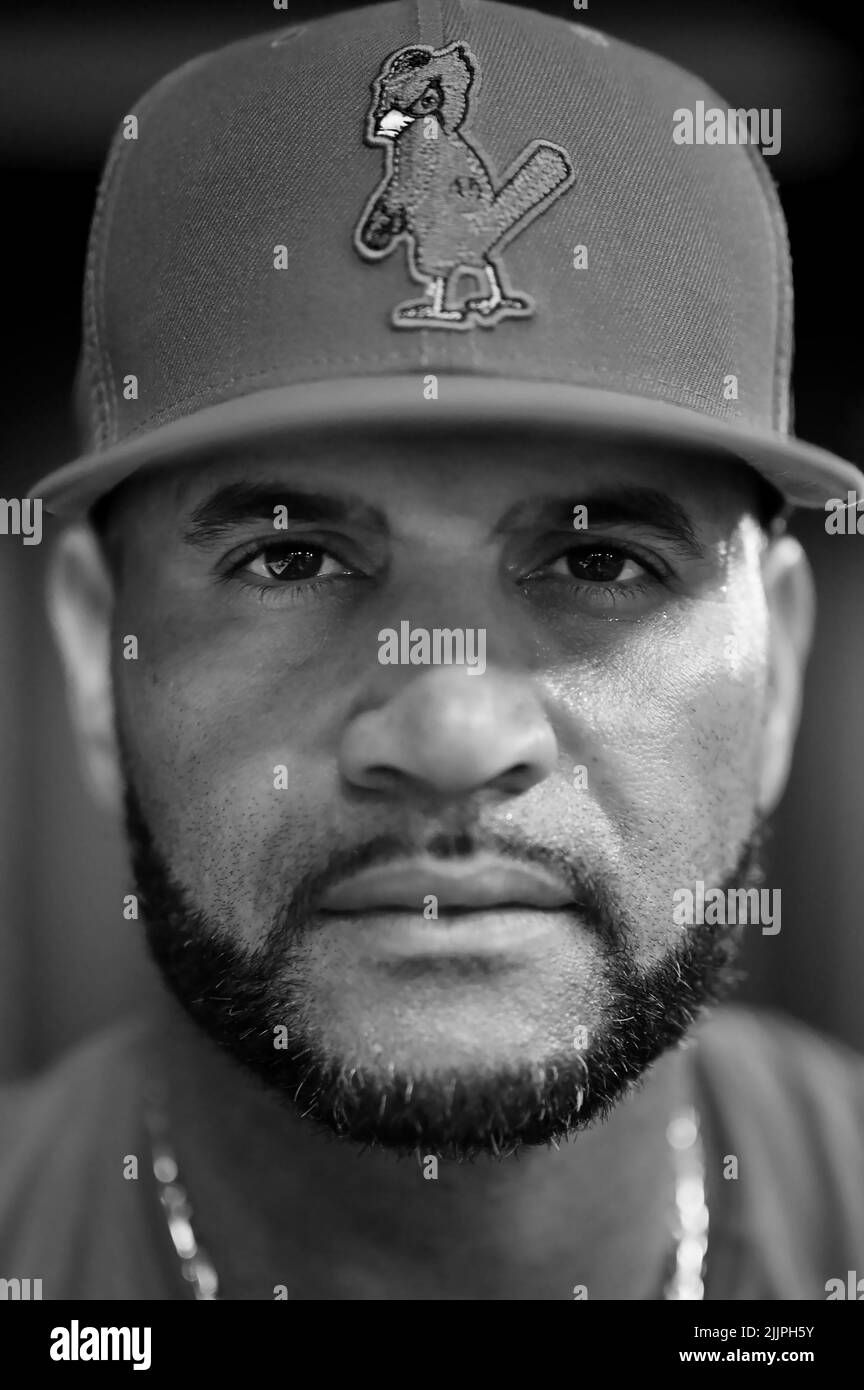 St. Louis Cardinals first baseman Albert Pujols poses for a portrait after batting practice prior to taking on the Toronto Blue Jays in interleague MLB baseball action in Toronto, Wednesday, July 27, 2022. THE CANADIAN PRESS/Jon Blacker Stock Photo
