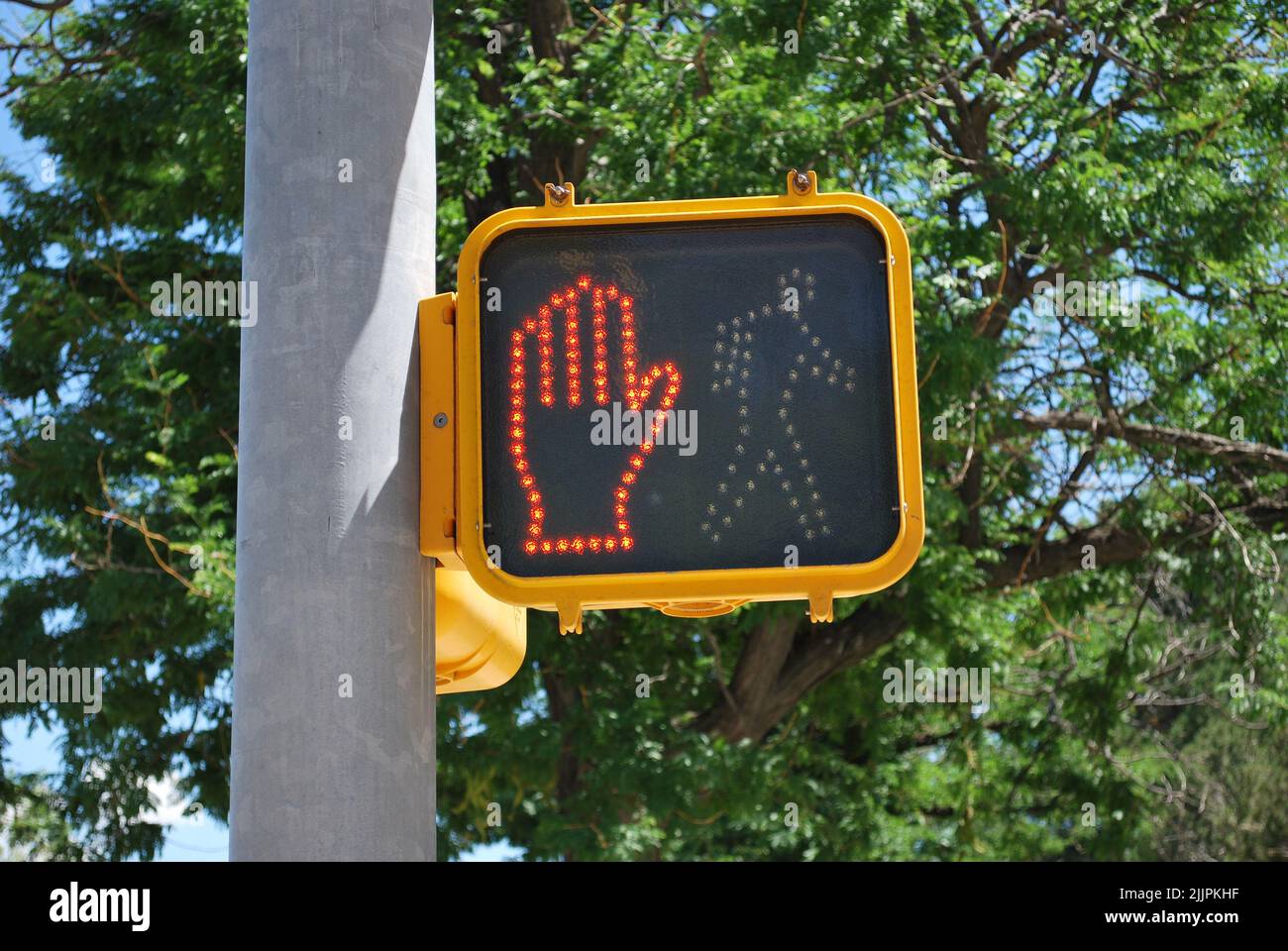 A pedestrian wait light traffic sign with green tree leaves in the background Stock Photo