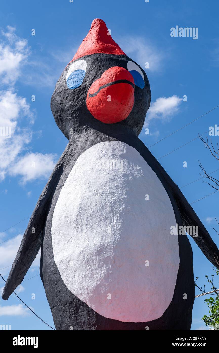 Cut Bank, Montana July 2, 2022 Worlds Largest Penguin in the coldest