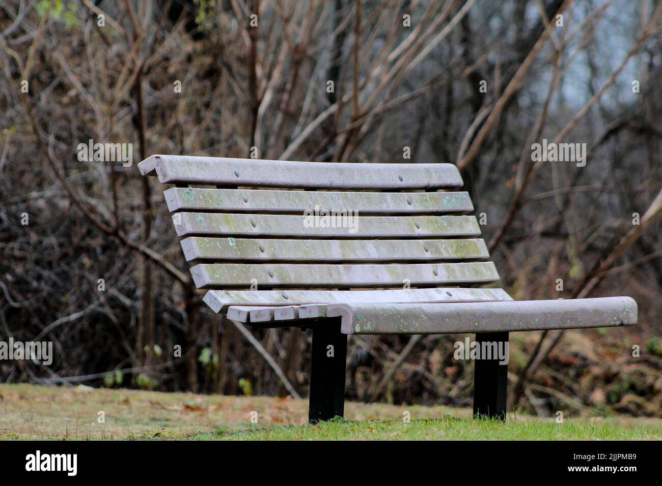 An Empty Bench Empty forest hi-res stock photography and images - Alamy