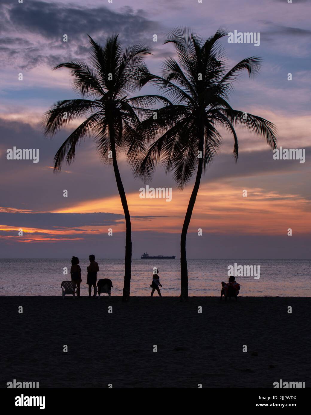 A silhouette of palms and people in beach of Santa Marta in background of sea during sunset Stock Photo