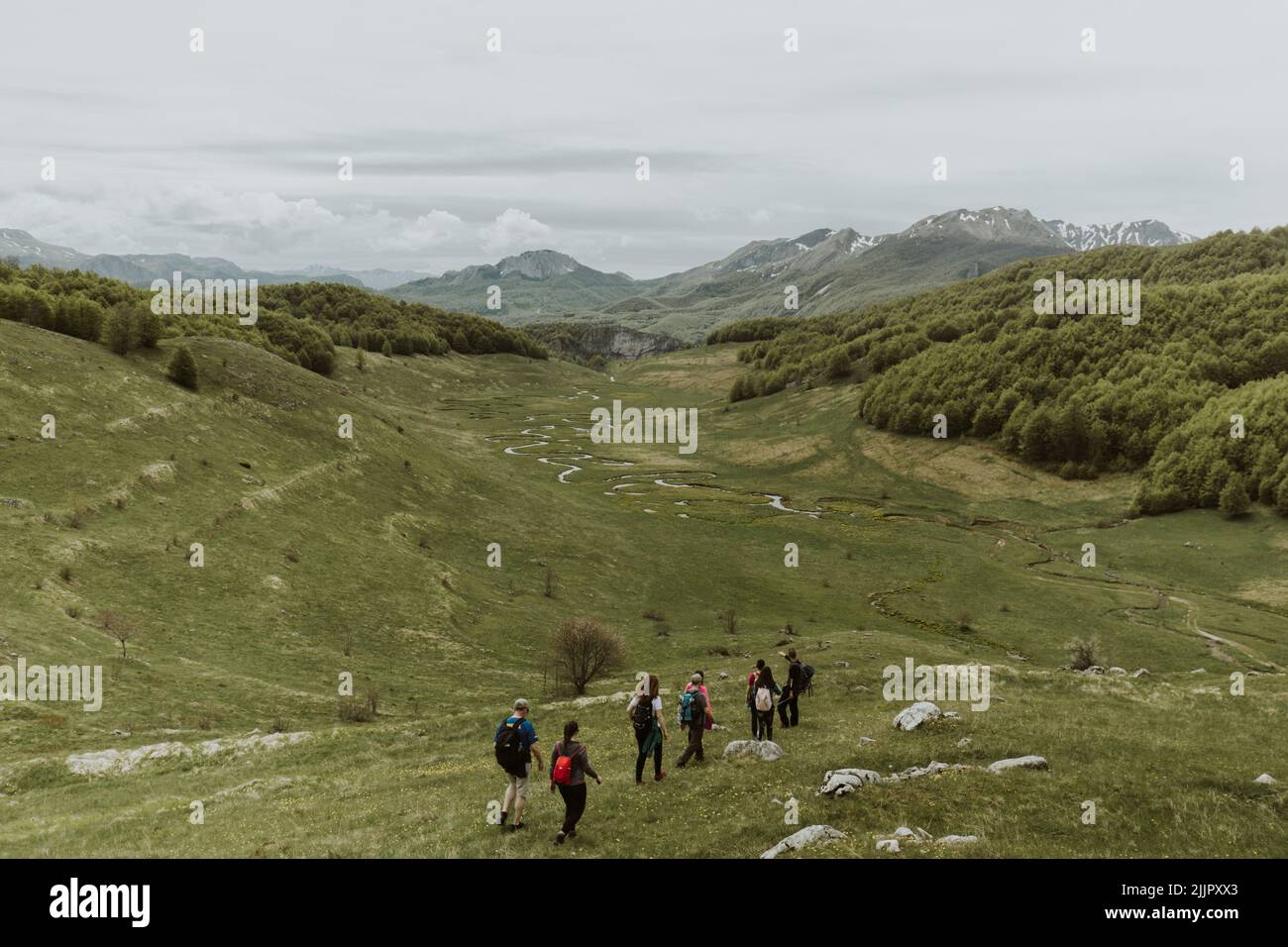 A back view of a group of people with backpacks hiking down a mountain ...