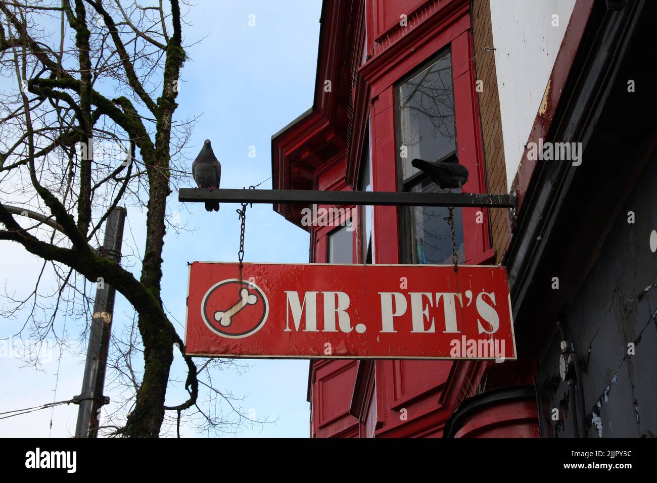 A bird sitting on pet shop signage in Vancouver, British Columbia