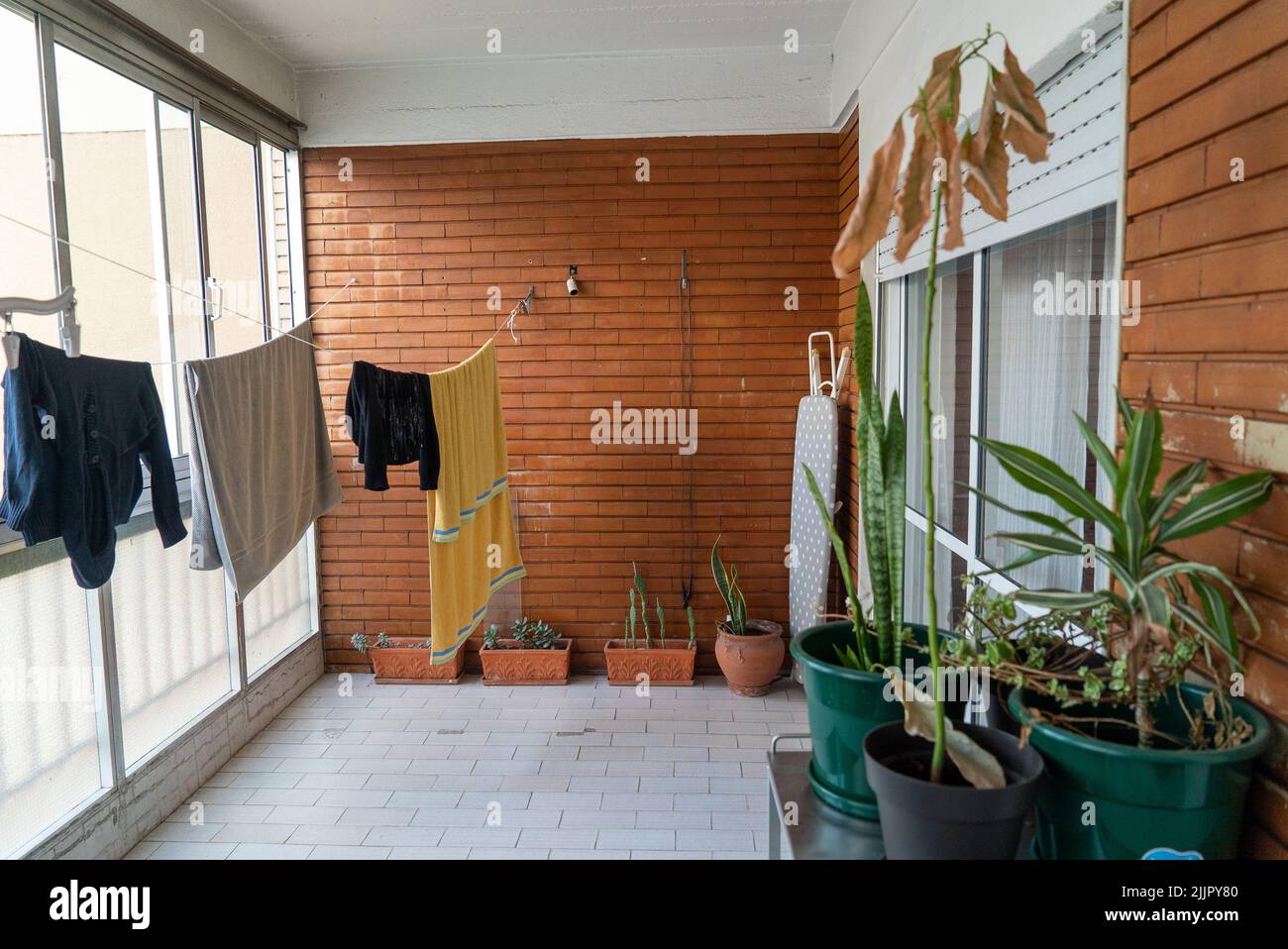 A laundry hanging from a rope in balcony surrounded by plants Stock Photo