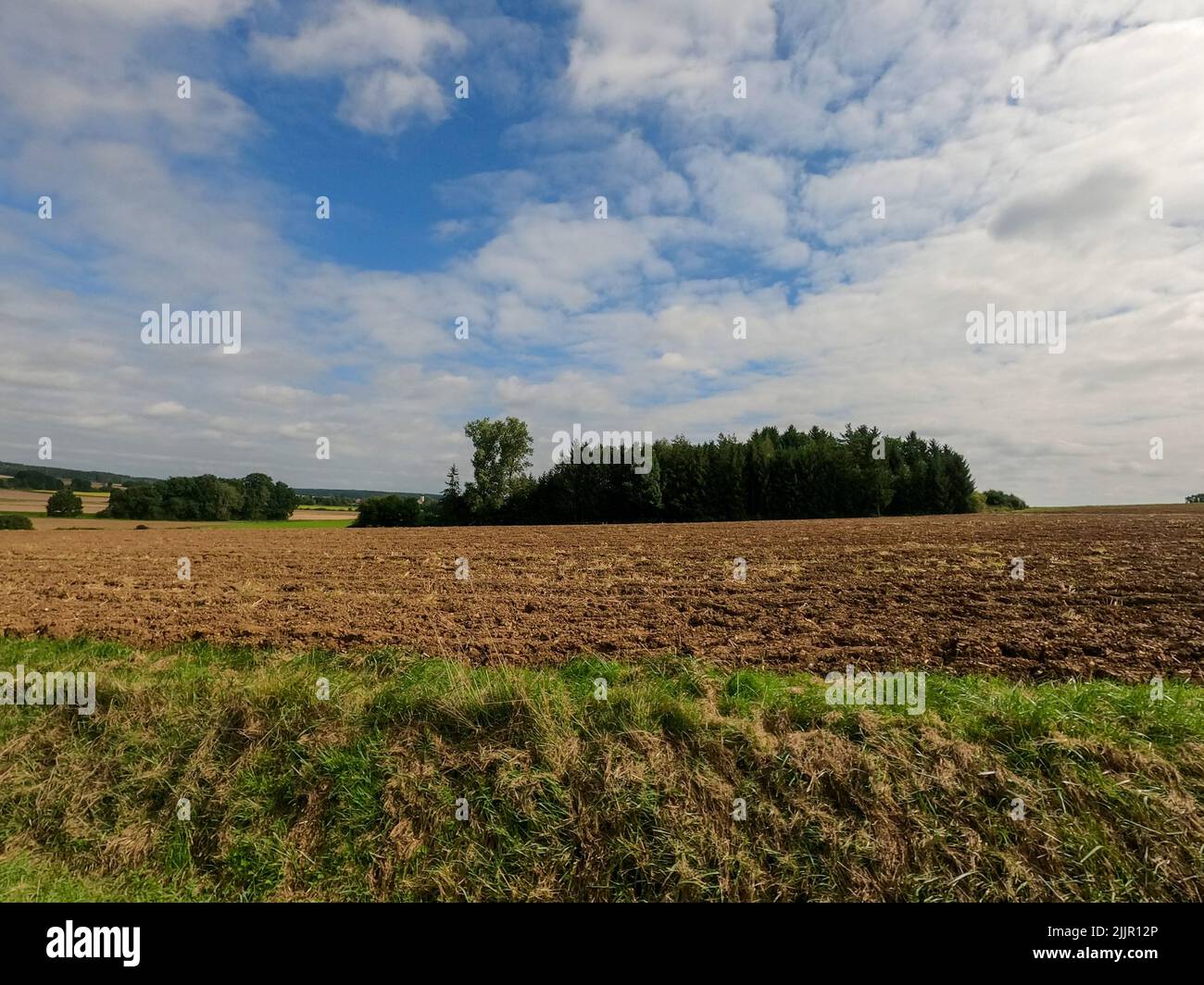 The plants and the crops in the valley on a blue cloudy sky background Stock Photo