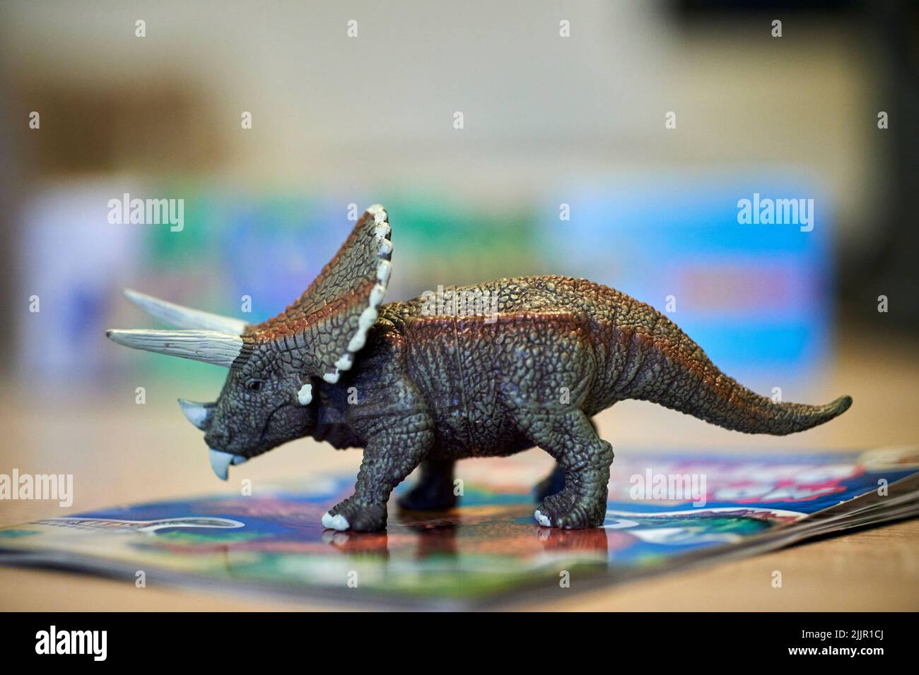 A plastic toy triceratops dinosaur figurine standing on a book on a table Stock Photo