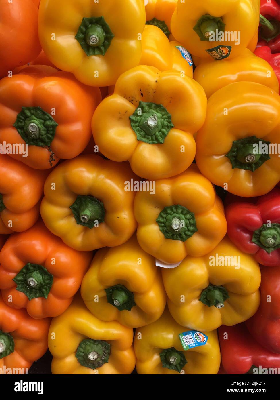 A closeup shot of pile of yellow and red pepper on the farmers market in California. Stock Photo