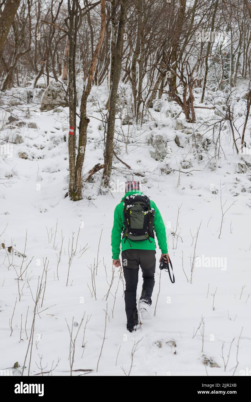 A vertical shot of a man in a hiking outfit in the snowy woods Stock Photo