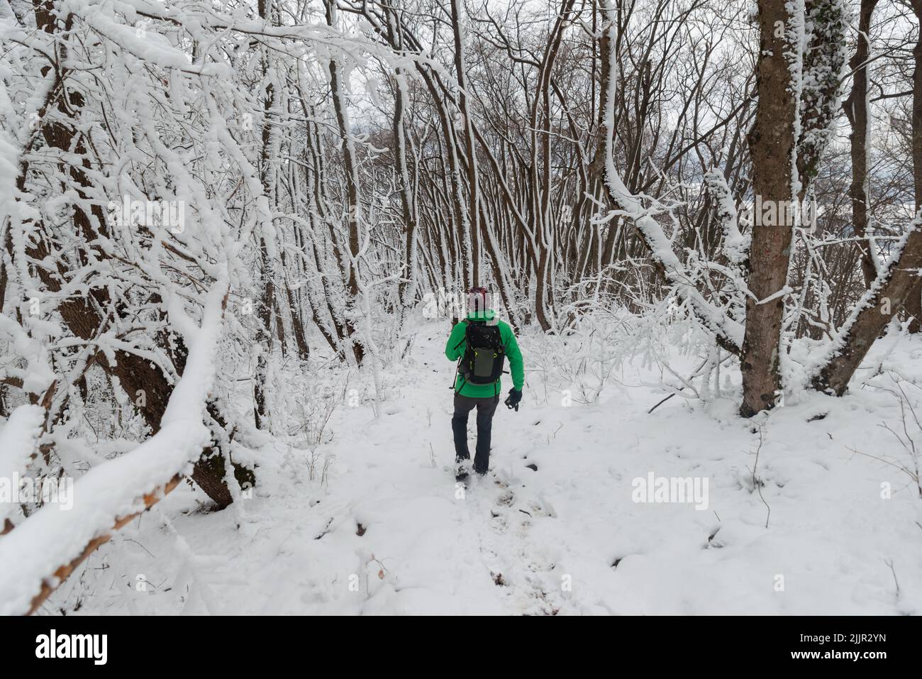A man with hiking outfit walking in the snowy woods Stock Photo