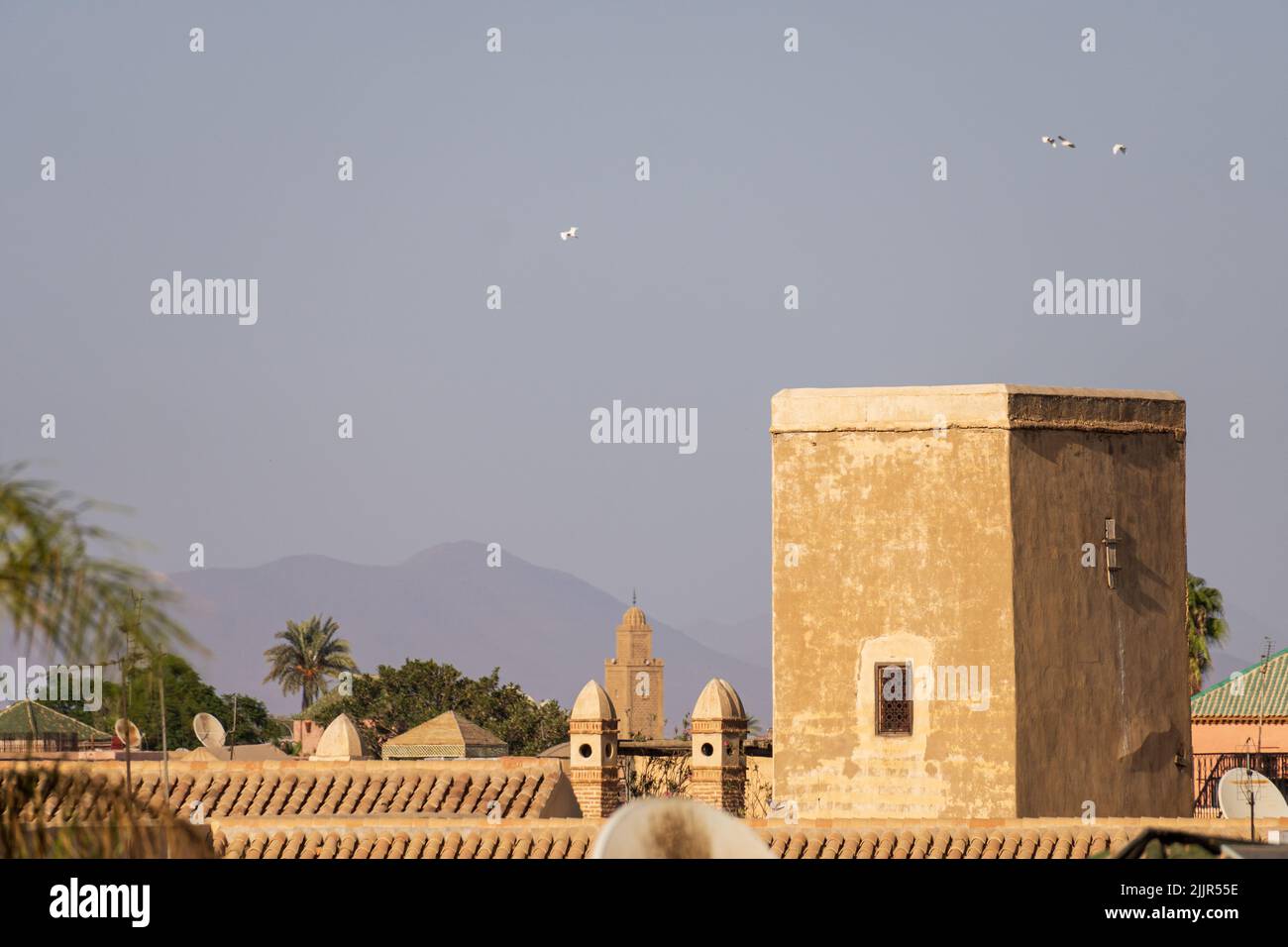 Marrakesh Rooftops The rooftops in Marrakech and Atlas in the background Stock Photo - Alamy