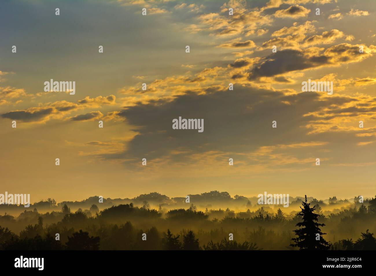 Sunrise over the forest in the fog Stock Photo - Alamy