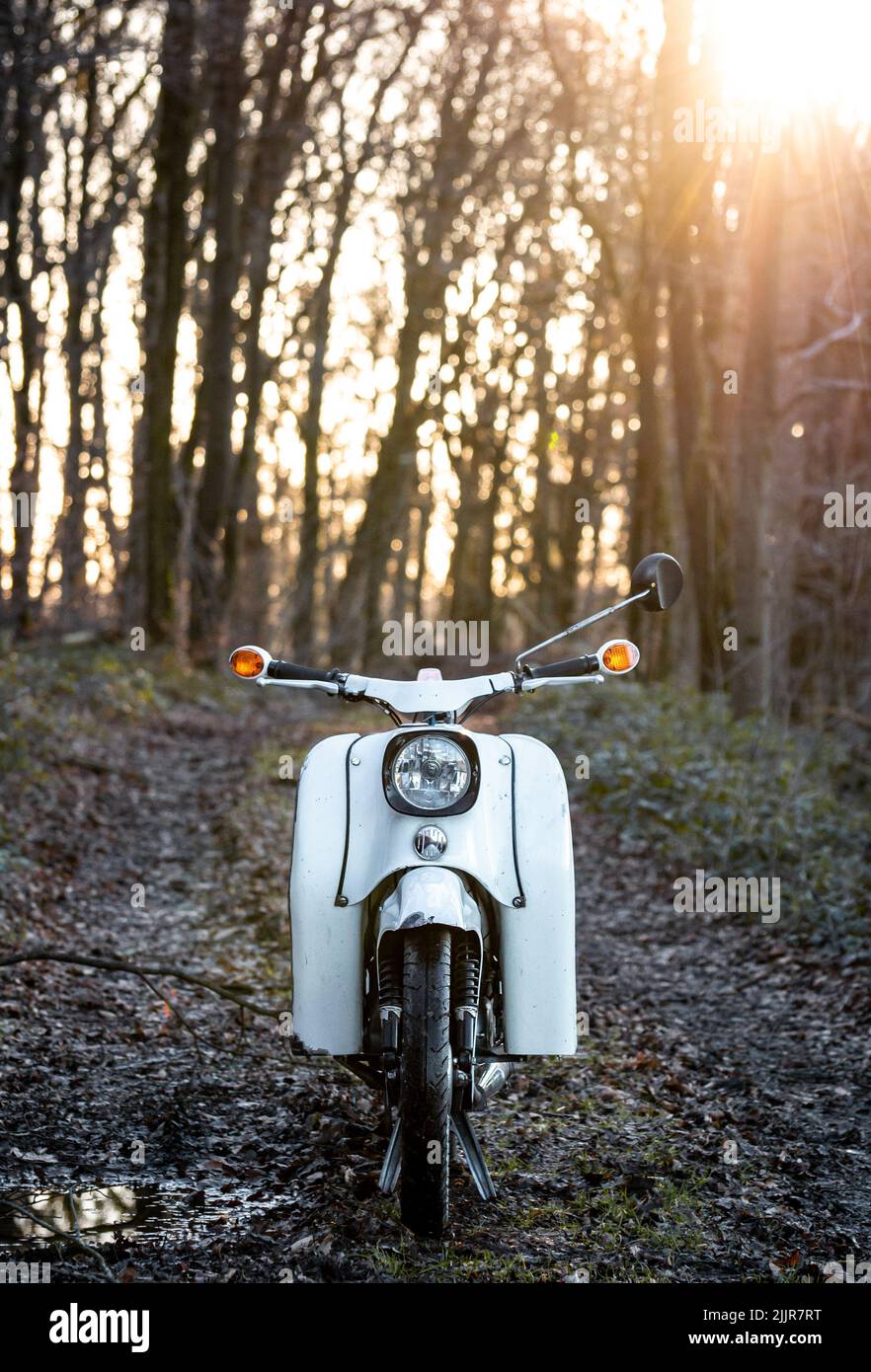 A vertical shot of a white bike parked on a pathway in a forest at golden hour Stock Photo