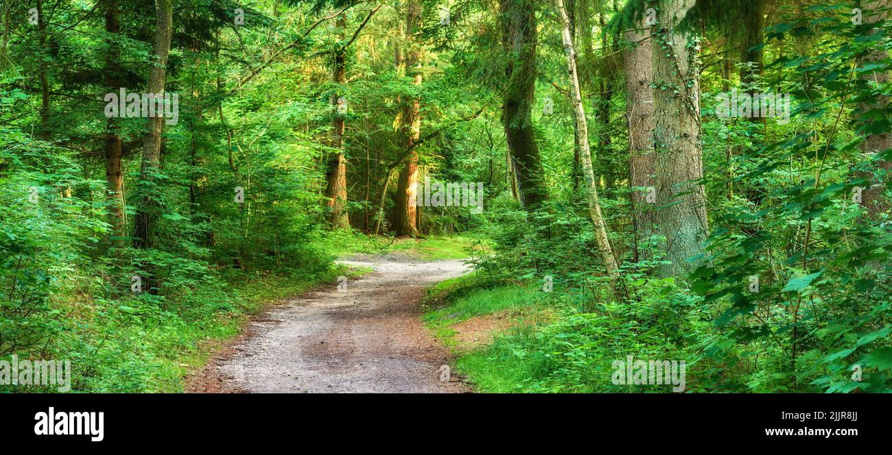 Empty landscape beautiful hi-res stock photography and images - Alamy