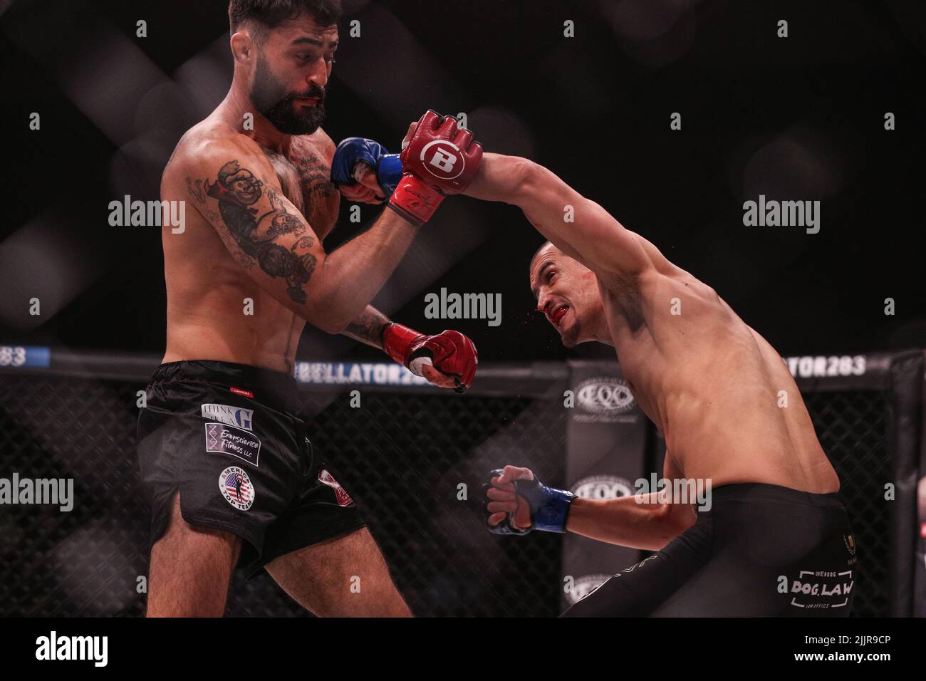 Luis Iniguez throws an overhand left against Roman Faraldo at Bellator 283. Roman Faraldo wins by knock out in the first round from the Emerald Queen Stock Photo