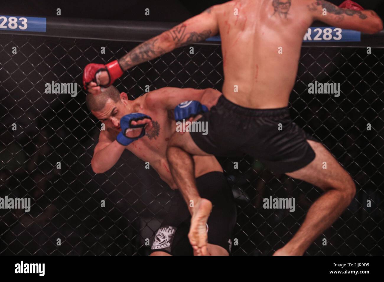 Roman Faraldo attacks Luis Iniguez with a flying knee at Bellator 283. Roman Faraldo wins by knock out in the first round from the Emerald Queen Casin Stock Photo