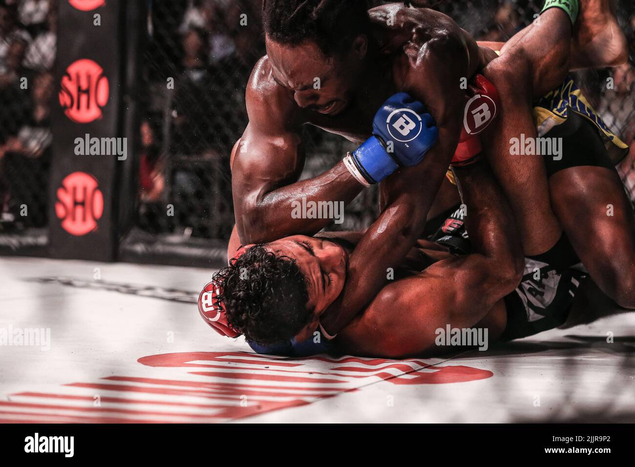 Jason Jackson delivers a right elbow to the head of Douglas Lima while inside his guard at Bellator 283. Jason Jackson defeats Douglas Lima by way of Stock Photo