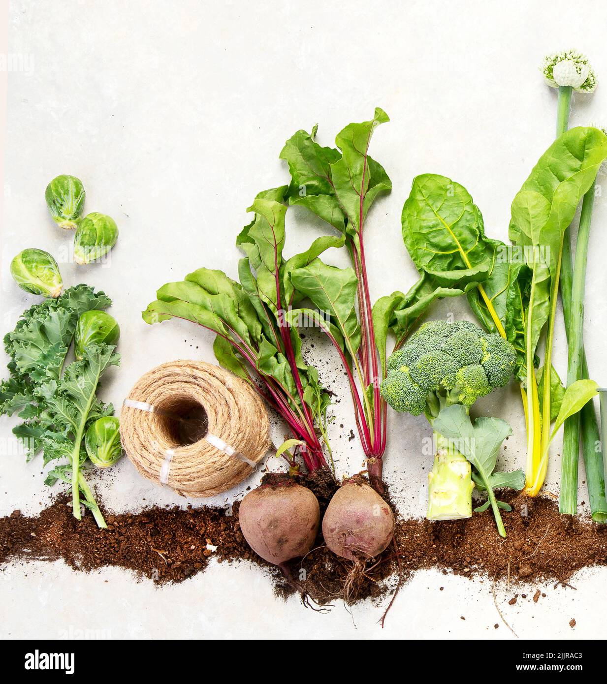 Vegetables growing in compost including potatoes, lettuce, salad ...