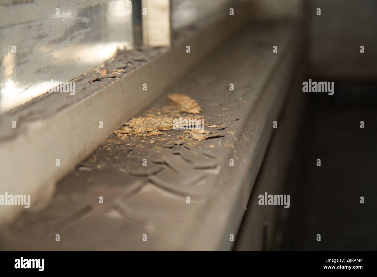 Cracked window sill paint after a flood Stock Photo Alamy