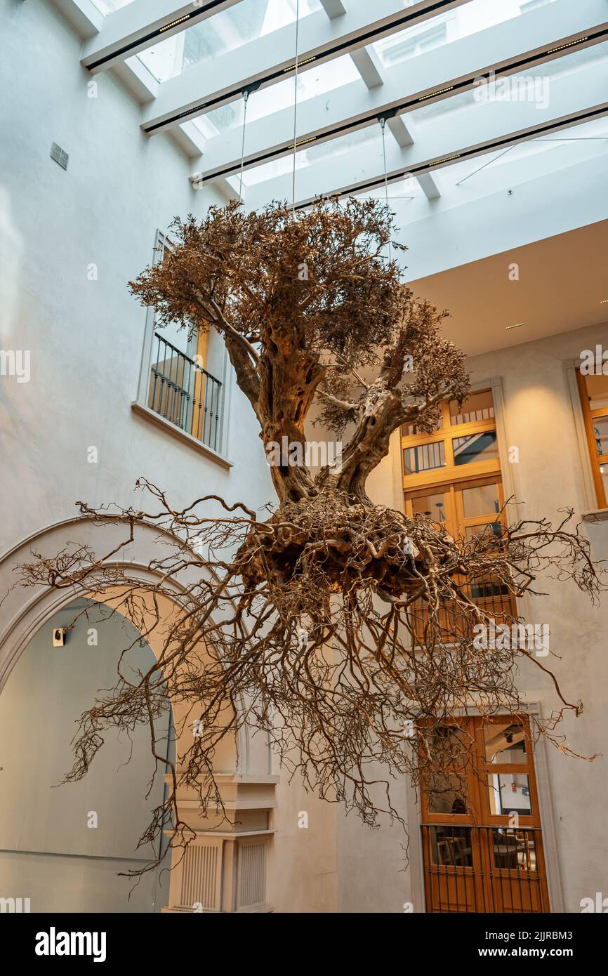 A vertical shot of a suspended olive tree in a building near Piazza Del Duomo, Milan, Italy Stock Photo