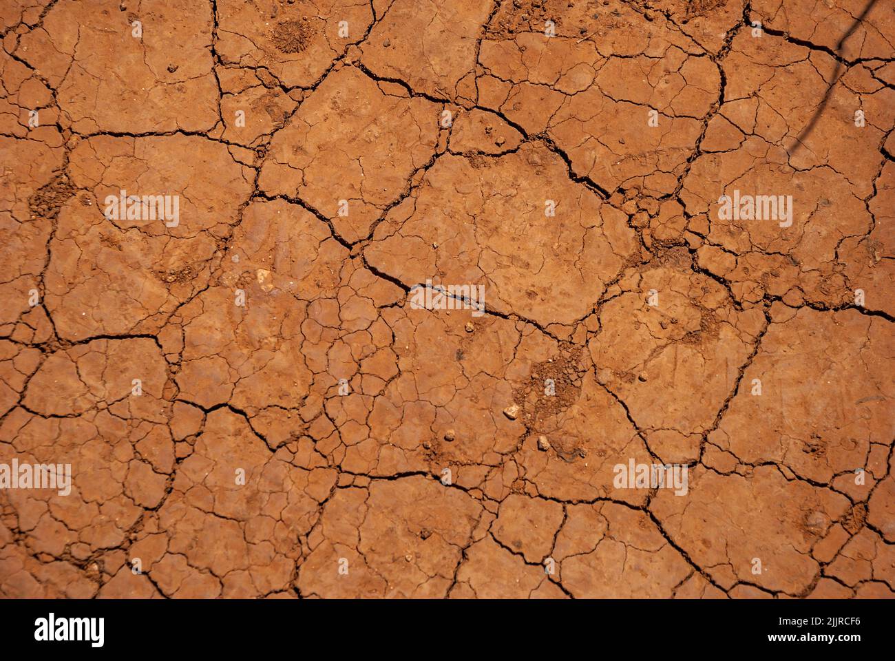 A closeup of cracked dry earth texture Stock Photo