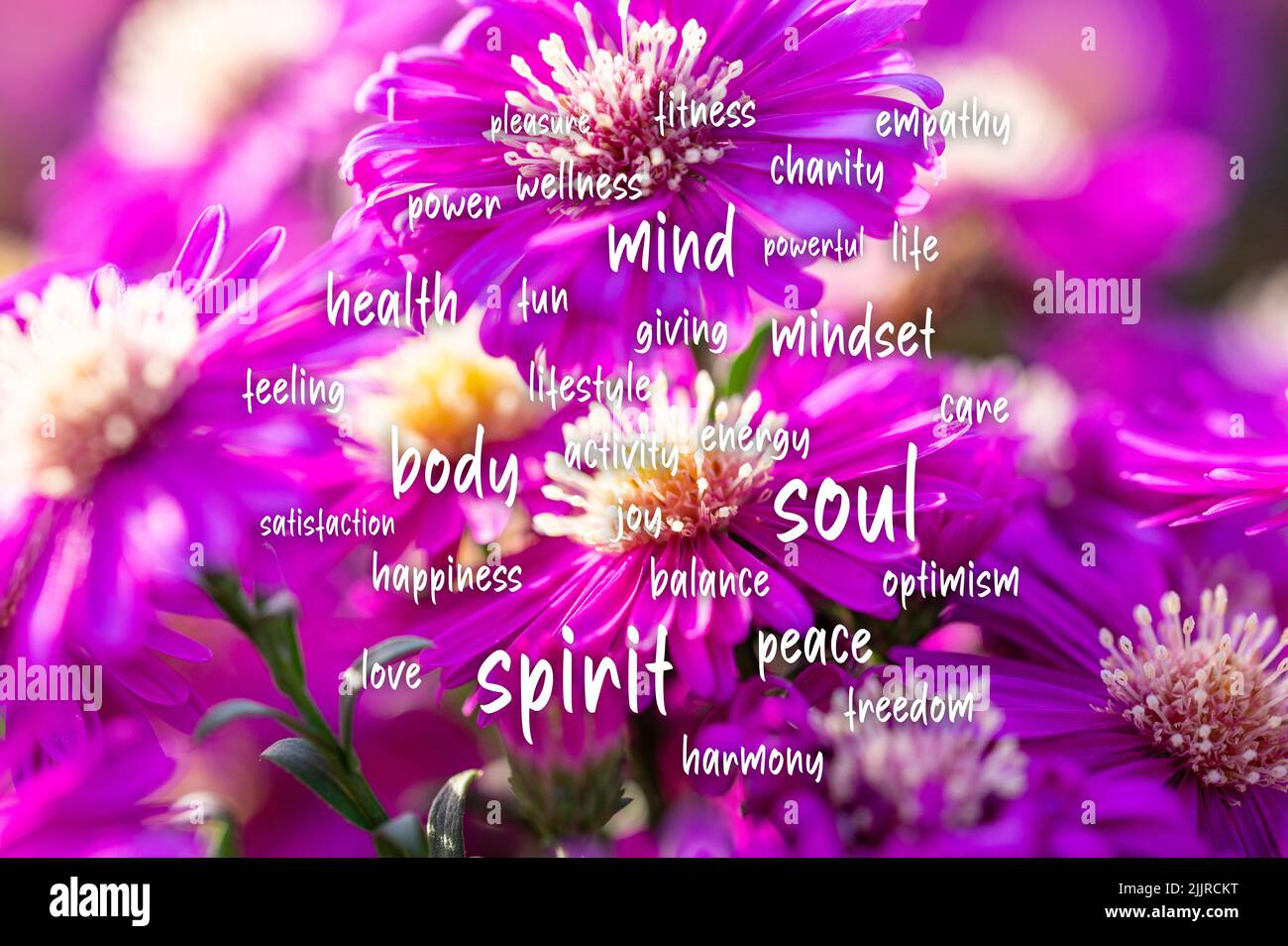 A Body mind soul spirit concept of motivation and mental power in a flowers background Stock Photo