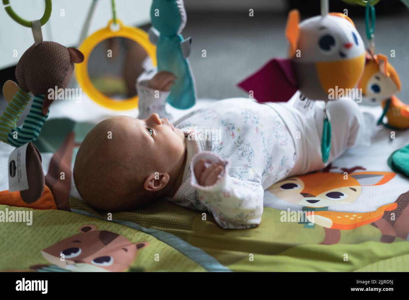 Three months old baby girl lying on the play mat looking at toys Stock Photo Alamy