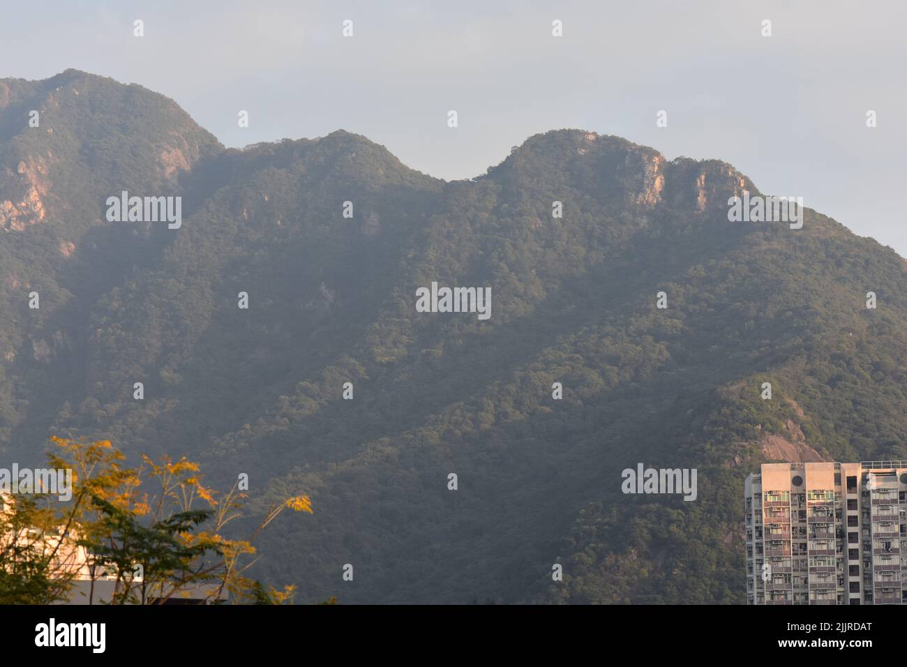 Landscape High Rise View High rise building nature landscape hi-res stock photography and images ...