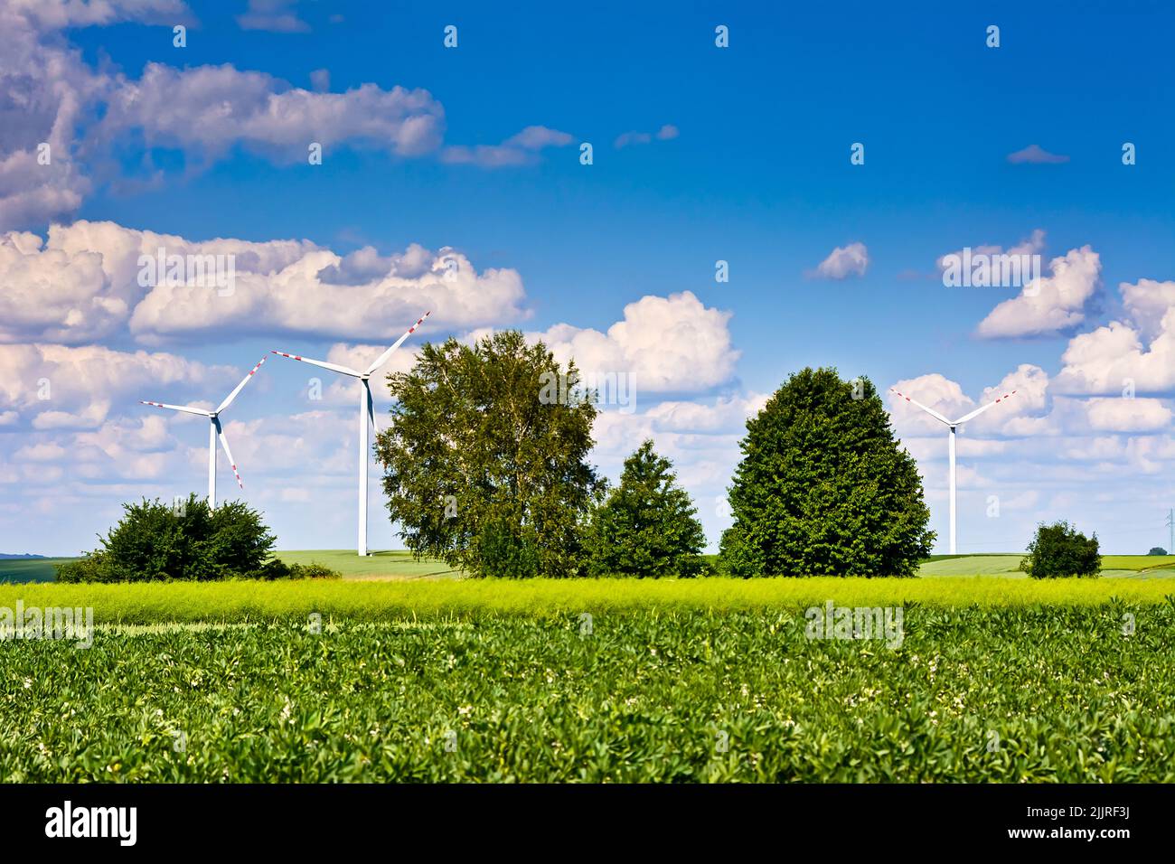 A wind turbines and green field on sunny day Stock Photo - Alamy