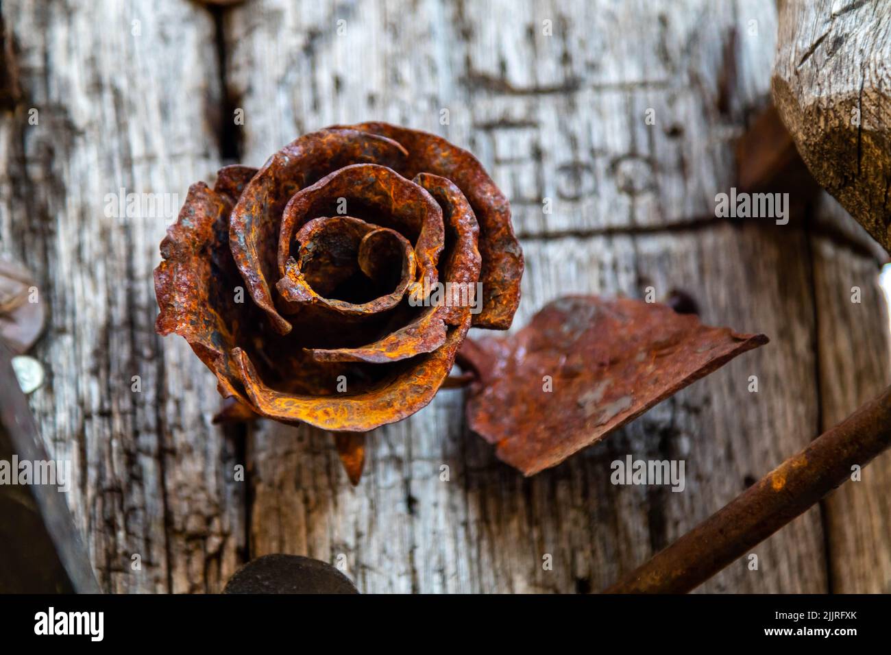A closeup of a rusty metal rose isolated on a wooden background Stock Photo
