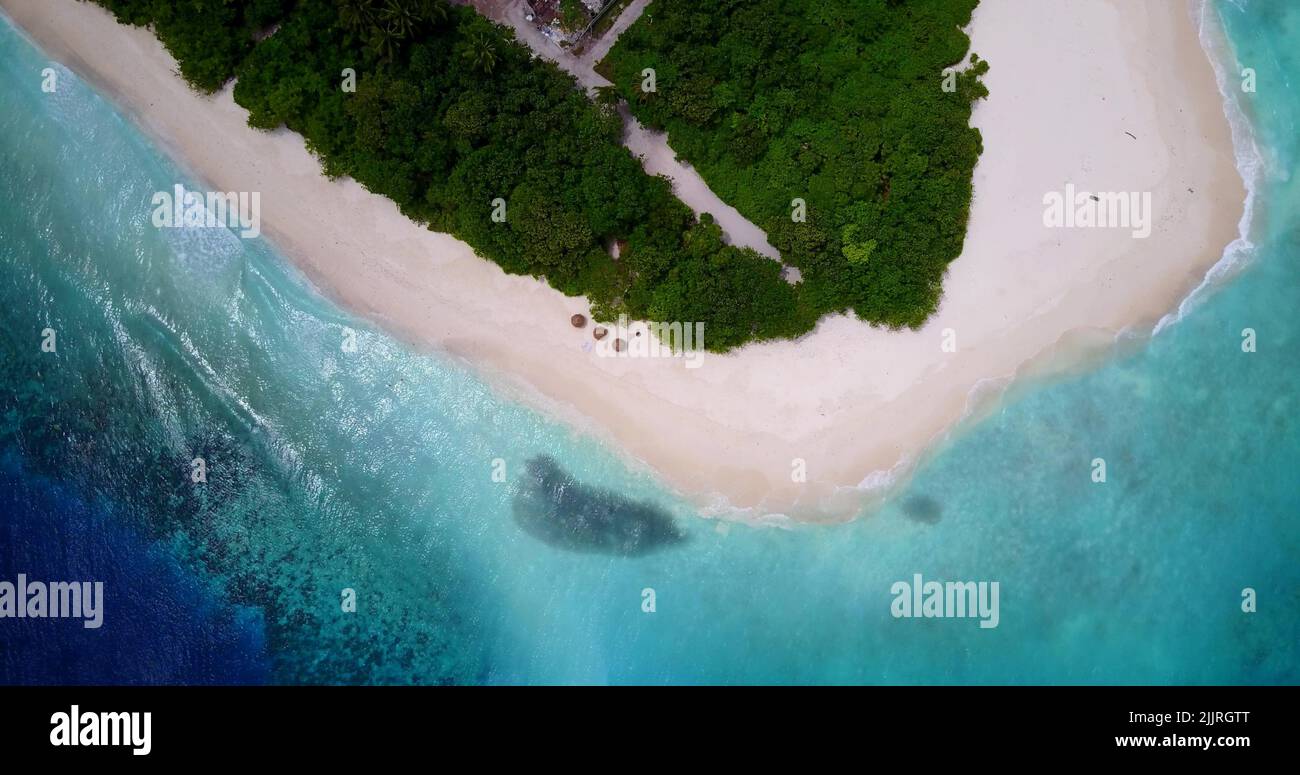 An aerial view of trees on a sandy beach by ocean Stock Photo - Alamy