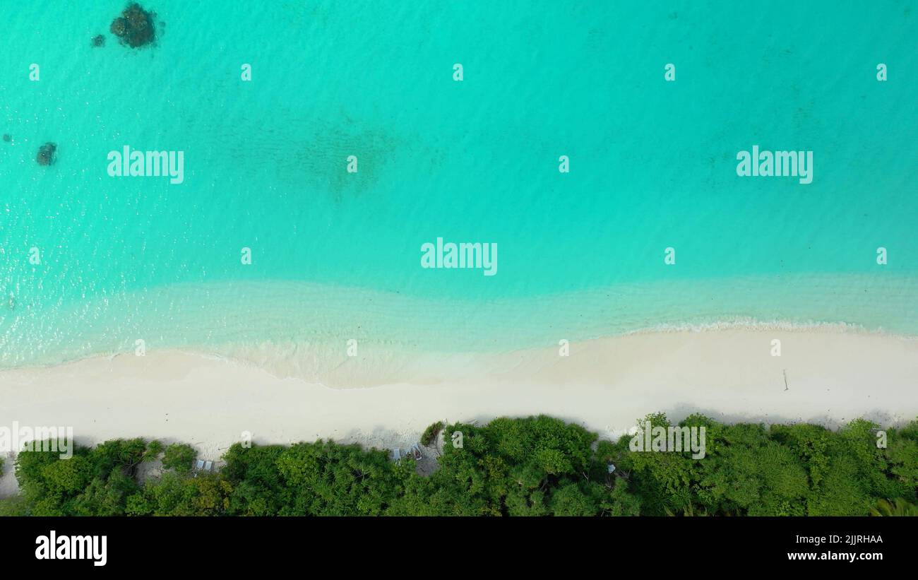 An aerial view of trees on a sandy beach by the ocean Stock Photo - Alamy