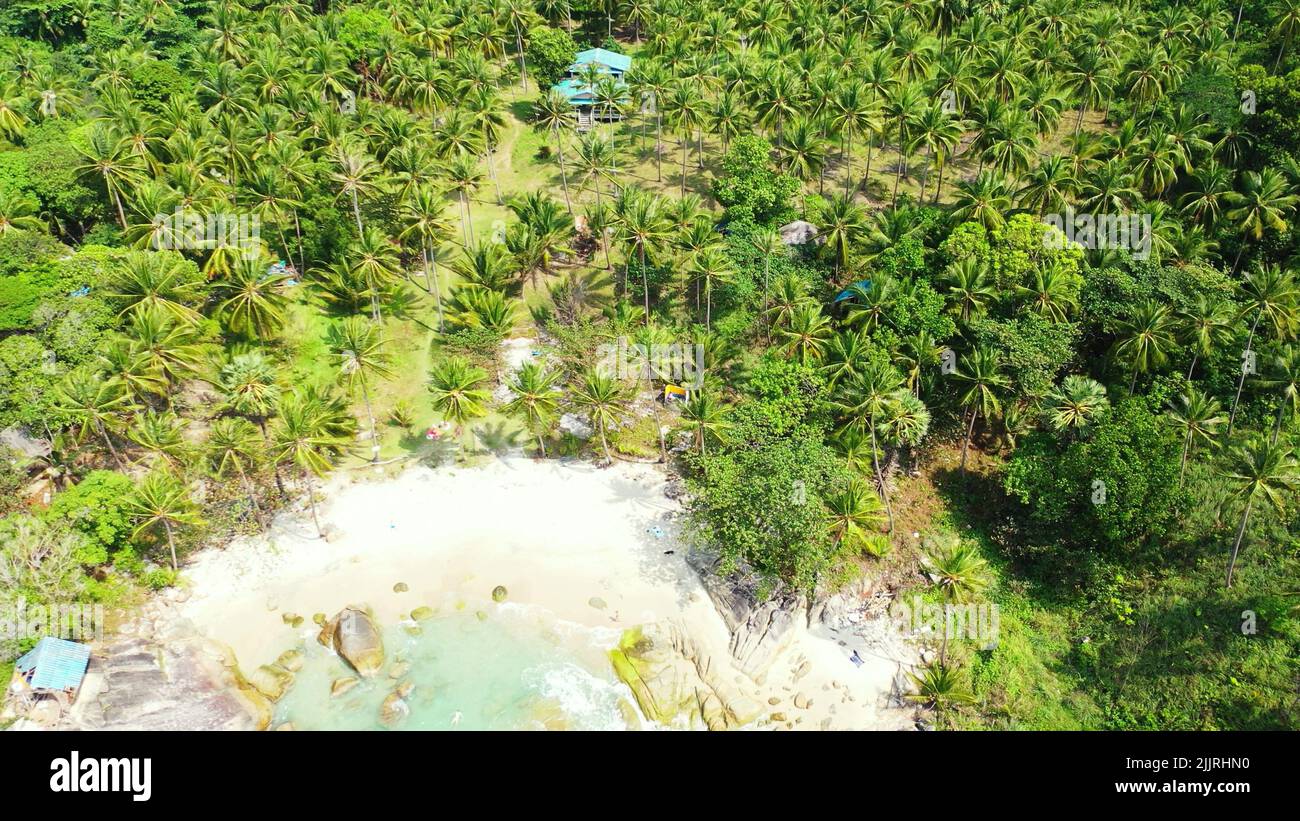Aerial view ocean palm trees hi-res stock photography and images - Alamy