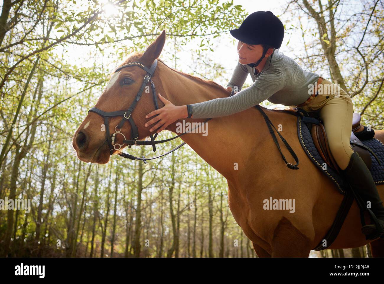 Youre Such A Good Boy An Attractive Young Woman Petting Her Horse