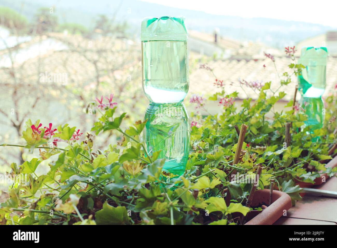Plastic bottles for watering flowers on the balcony as irrigation