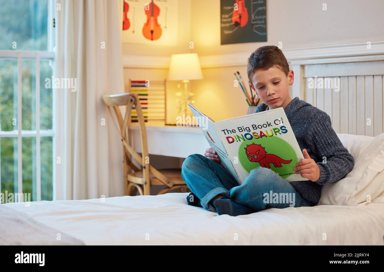 Children have a natural instinct for curiosity and discovery. a young boy reading a book about dinosaurs in a bedroom at home. Stock Photo