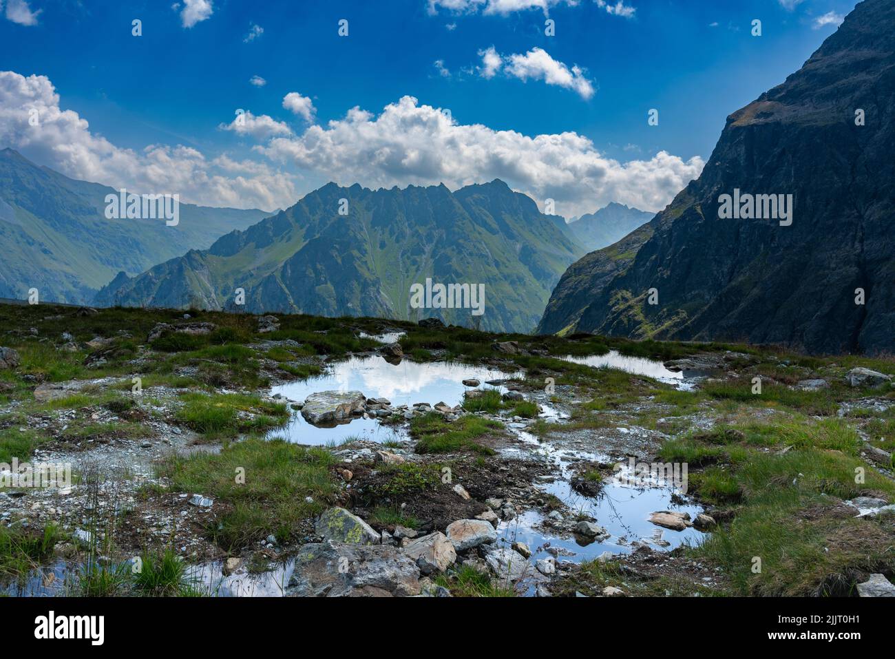 umgeben von Steinen, Gras und Blumen liegt ein kleiner blauer Bergsee am Schafberg über Gargellen, Montafon, Österreich. Berge spiegeln sich im Wasser Stock Photo