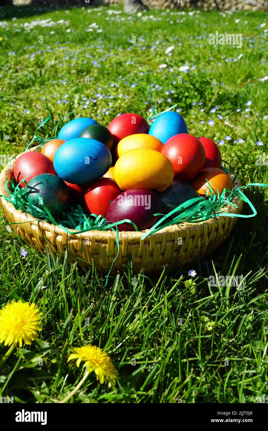 Easter Egg Basket Easter Egg Hunt Baskets Easter Grass - Temu