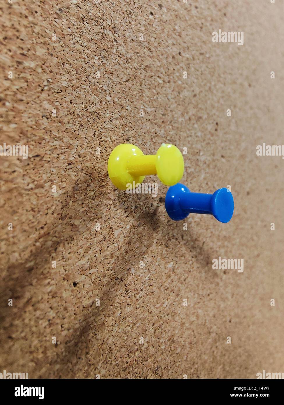 The yellow and blue color pushpins in a wooden wall Stock Photo