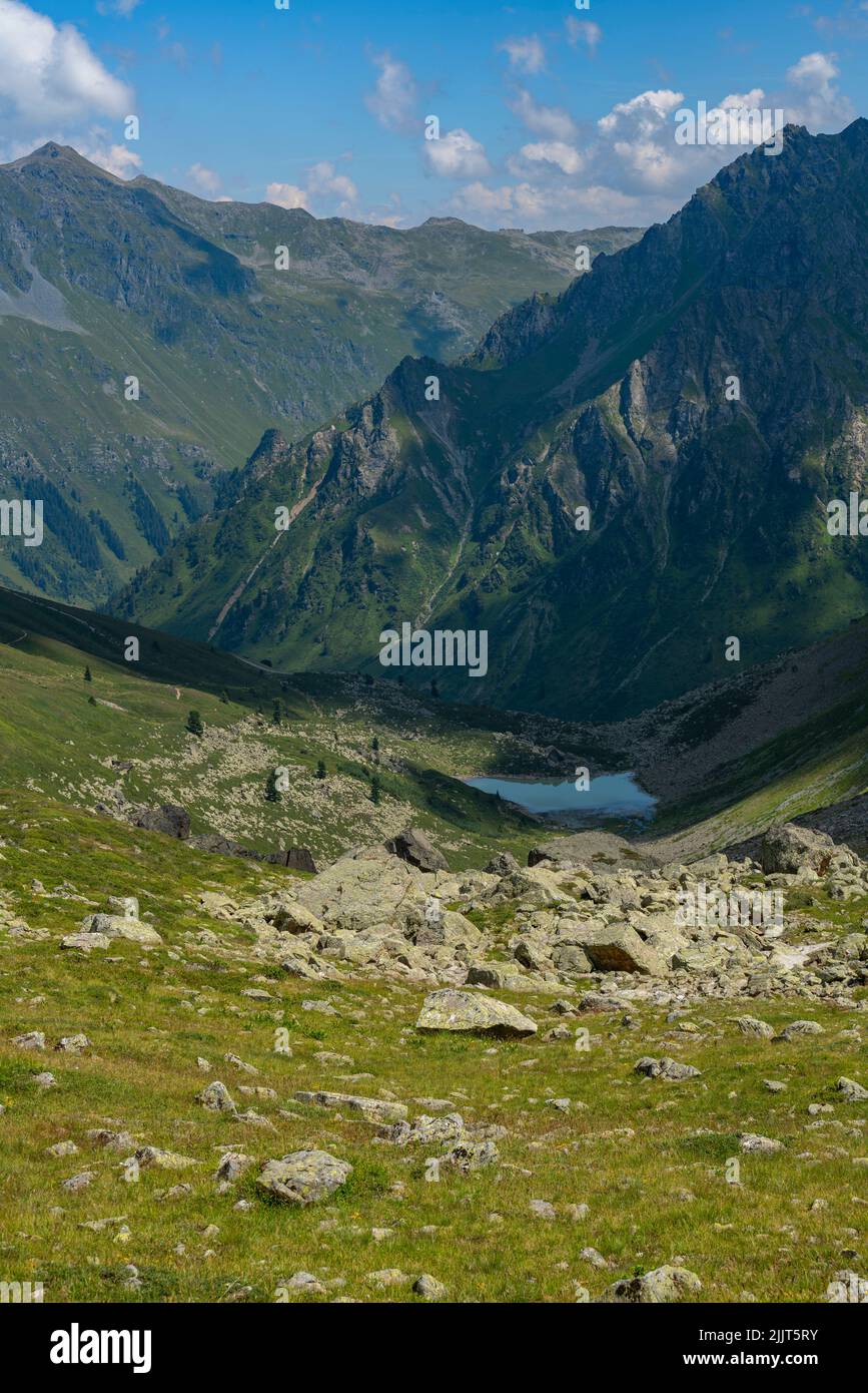 umgeben von Steinen, Gras und Blumen liegt ein kleiner blauer Bergsee am Schafberg über Gargellen, Montafon, Österreich. Berge spiegeln sich im Wasser Stock Photo