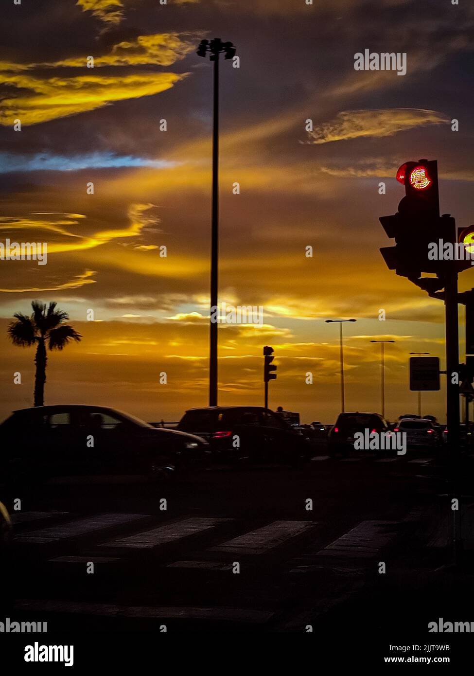 A vertical shot of parked cars and palm trees under a golden sunset sky ...