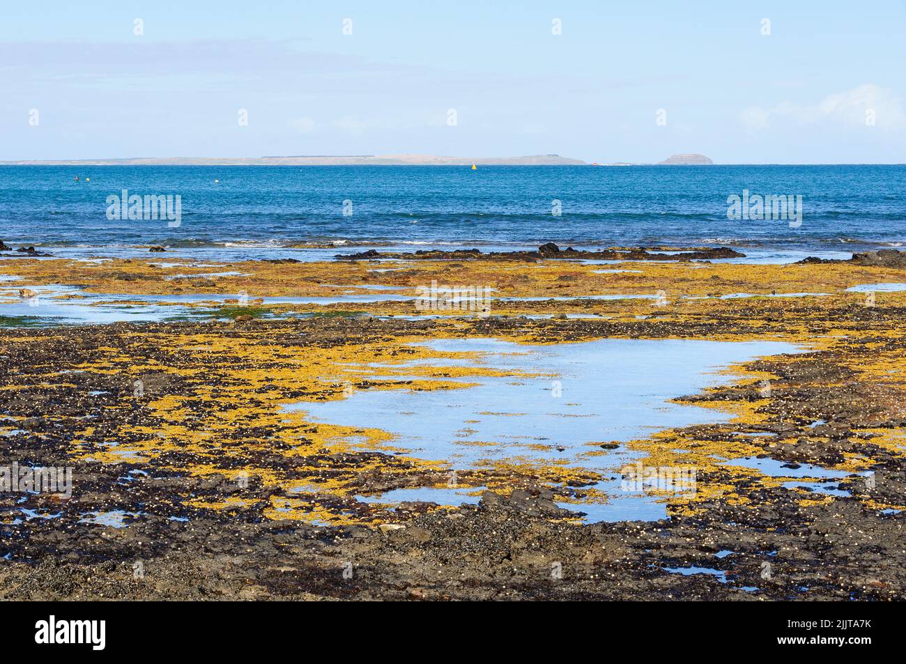 Low tide at Dodds Creek Beach - Flinders, Victoria, Australia Stock Photo