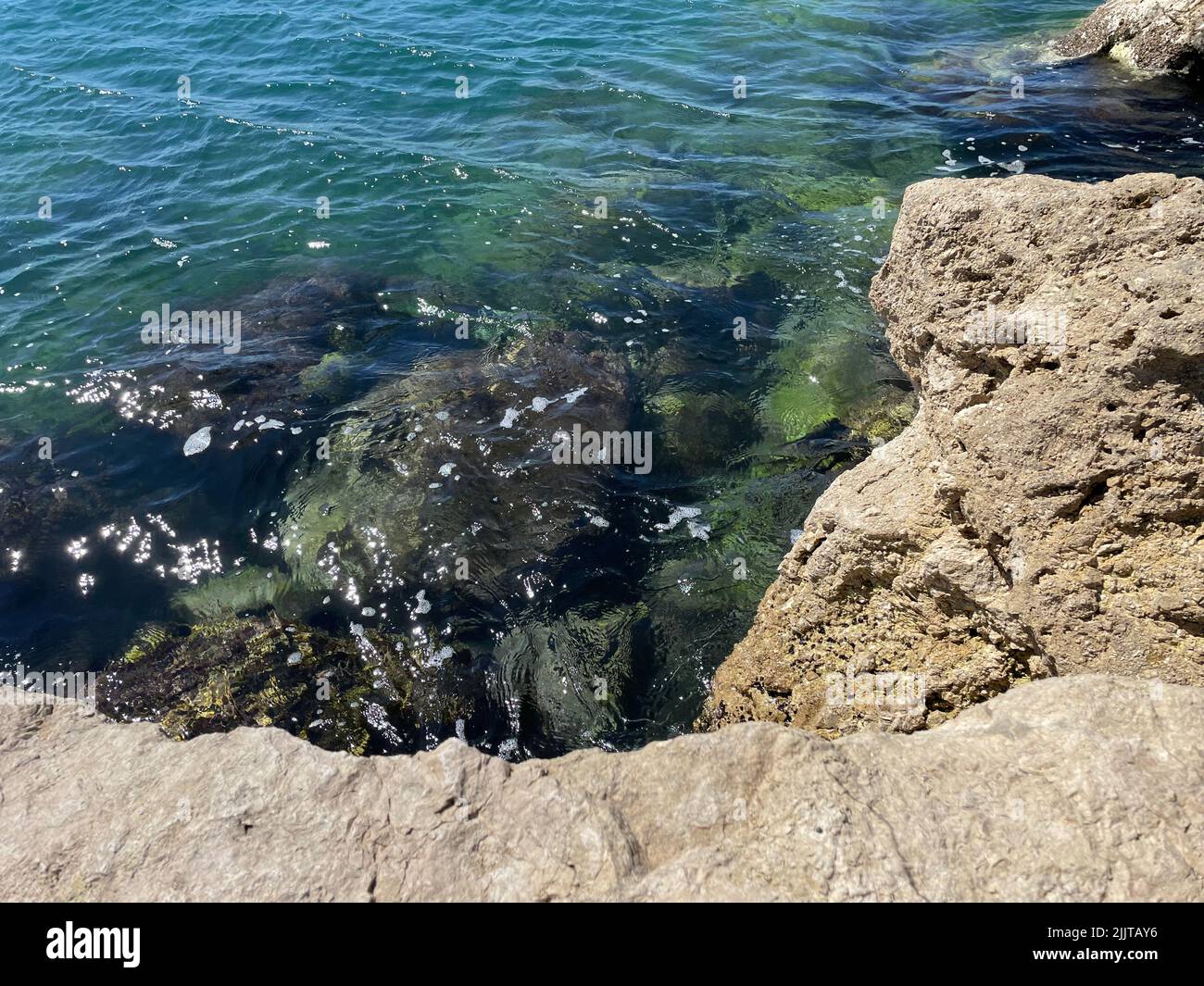 A high angle shot of seaweed and rocks in seawater Stock Photo - Alamy