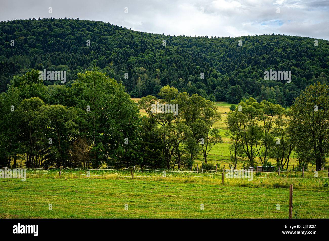 Green meadows and pastures shrouded in pine trees on the Beskids mountain ridges Stock Photo