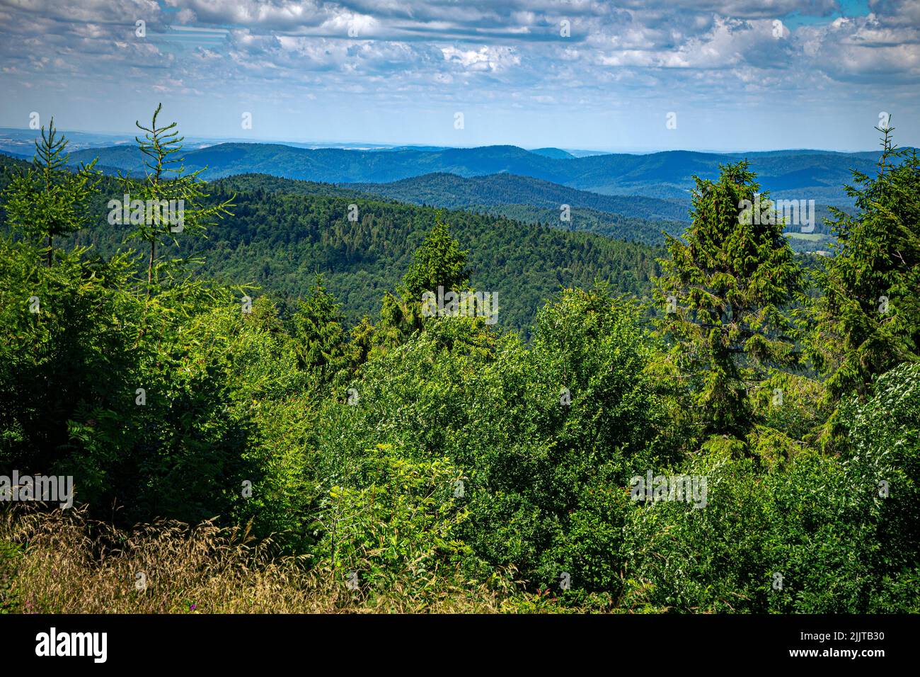 A picturesque panorama of the Low Beskids mountain range. Various shades of green of the trees against the blue overcast sky. Stock Photo