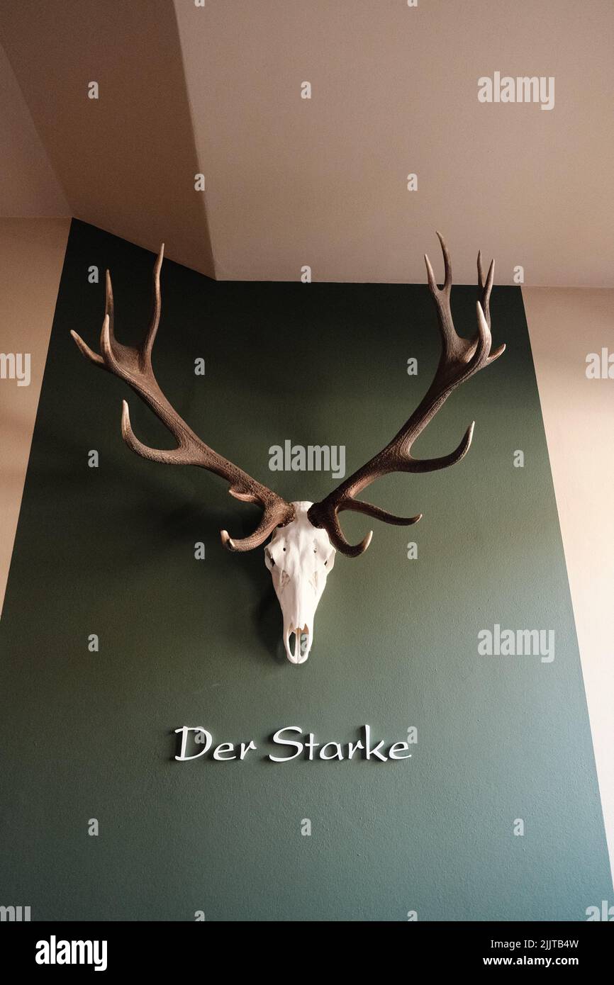 A vertical of deer horns and a skeleton hanging on a wall in a hotel in South Tyrol, Dolomites, Italy Stock Photo