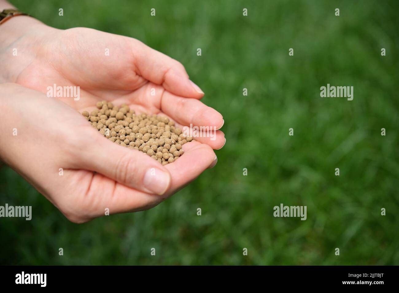 Closeup Farmer Hands Spreading Organic Universal Fertilizer Stock Photo