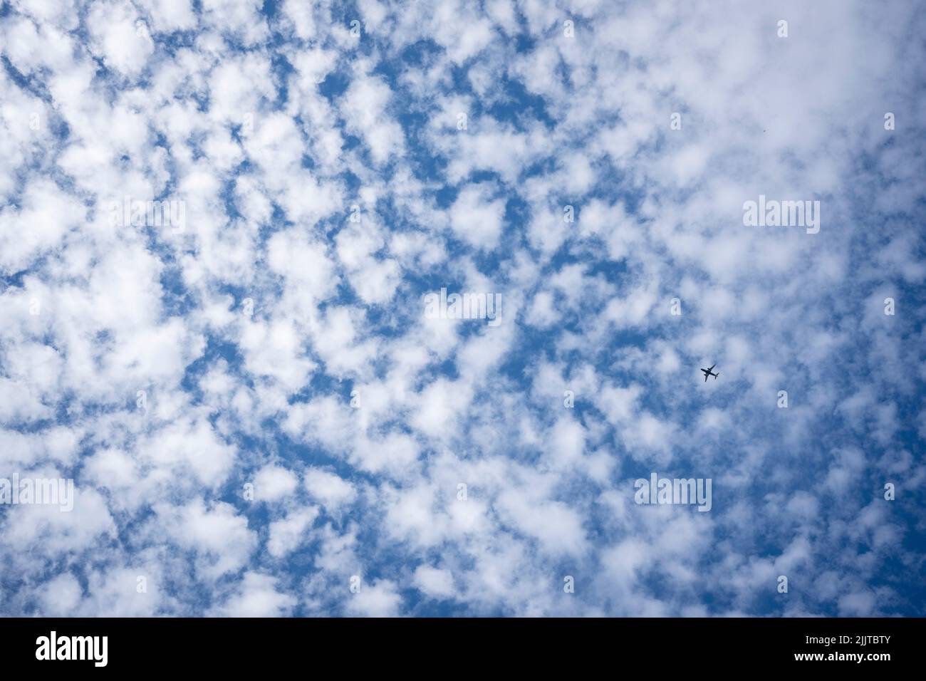 A single jet airliner flies across south London skies, its shape silhouetted against altocumulus cloud formations on its in-flight journey overhead, on 24th July 2022, in London, England. Altocumulus is a middle-altitude cloud whose altitude is between 2,000–7,000 m (7,000–23,000 ft). Stock Photo